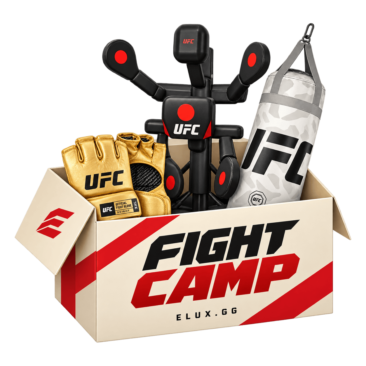Fight Camp