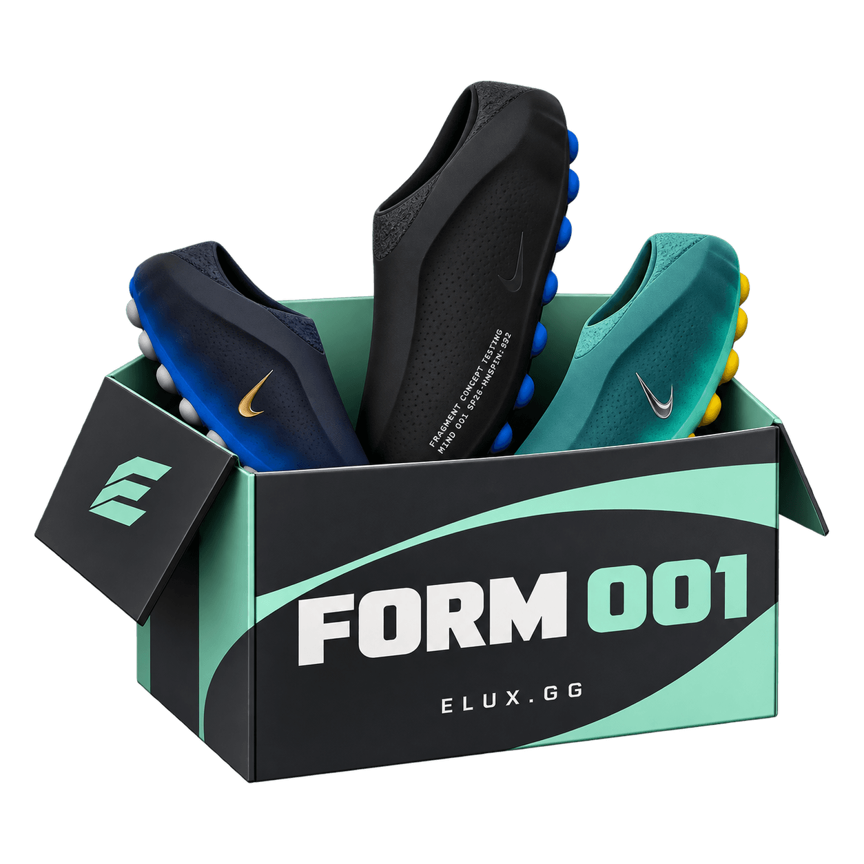 Form 001