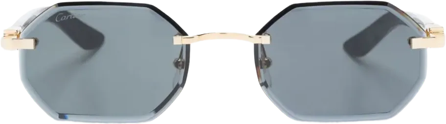 Cartier CT0439S