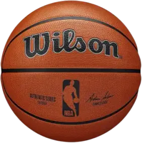 Wilson NBA Authentic Series Basketballs