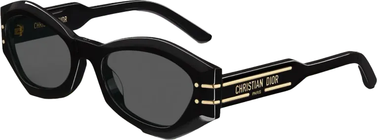 Dior Signature B1U Butterfly Sunglasses