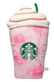 Starbucks Cushion