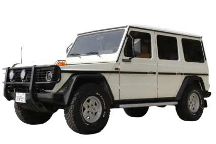 Mercedes-Benz G 300 1982